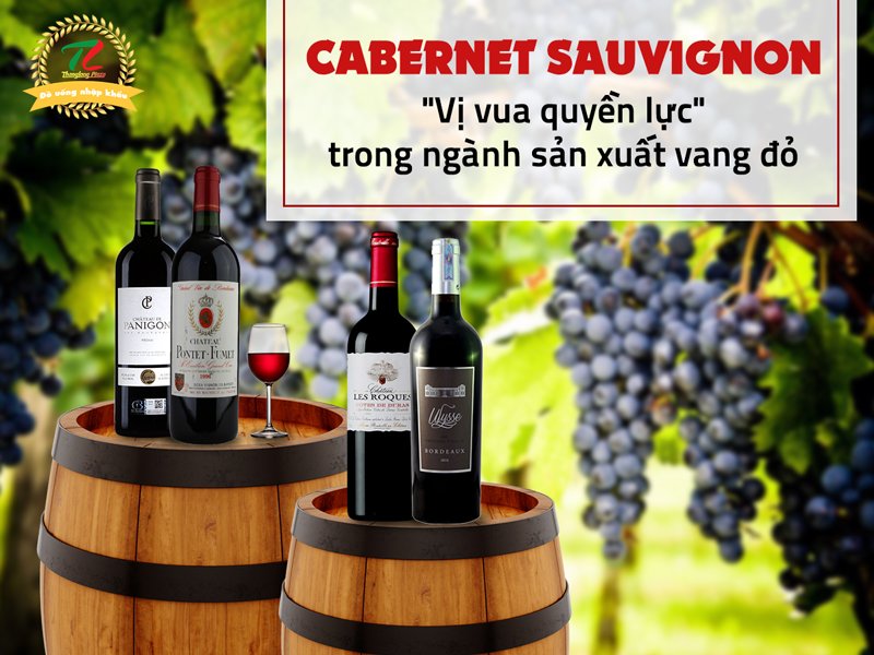 Cabernet Sauvignon - Giống nho phổ biến nhất trong ngành sản xuất vang đỏ tại Pháp
