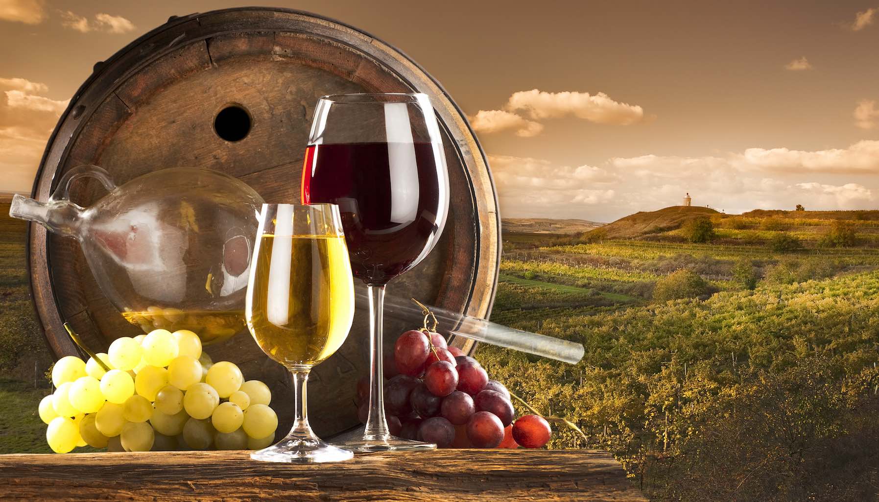 Khám phá sự khác biệt giữa rượu vang đỏ và rượu vang trắng