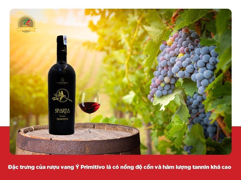 Rượu vang Ý Primitivo: Hương vị đậm đà, mạnh mẽ từ giống nho miền Nam nước Ý