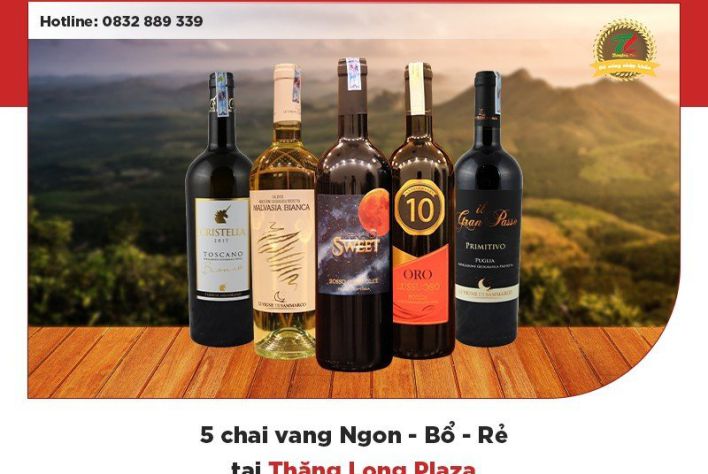 5 chai rượu vang Ngon - Bổ - Rẻ mà bạn không nên bỏ qua của Thăng Long Plaza