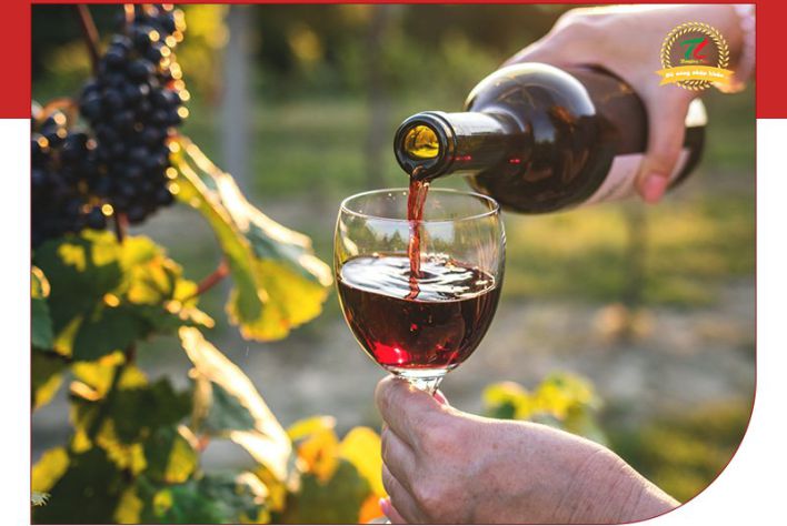Cẩm nang chọn rượu vang nhập khẩu chính hãng