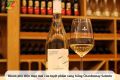 Chardonnay Salento: Diện mạo mới, sức sống mới