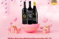 Lựa chọn loại vang nào thích hợp để tặng cho phái đẹp nhân ngày 20/10?