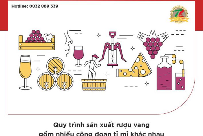 Quy trình sản xuất rượu vang: Từ trái nho đến chai rượu