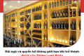 Quyền lợi không giới hạn khi trở thành đại lý của Thăng Long Plaza