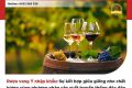 Điều gì làm nên sự độc đáo và tinh tế của rượu vang nhập khẩu Italia?