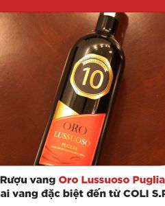 Rượu vang Oro Lussuoso Puglia - Chai vang mang giá trị đặc biệt của COLI S.P.A