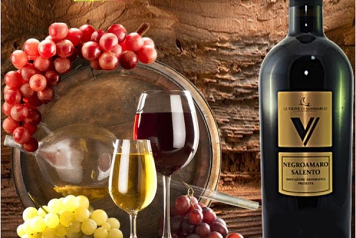 Rượu vang V Negroamaro Salento - Chai vang đỏ quyến rũ, đẳng cấp của Ý
