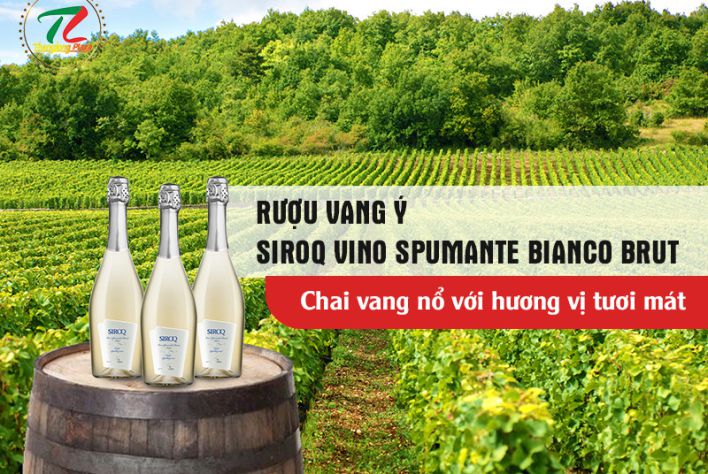 Rượu vang Ý SIROQ Vino Spumante Bianco Brut: Chinh phục thực khách với hương vị tươi mát