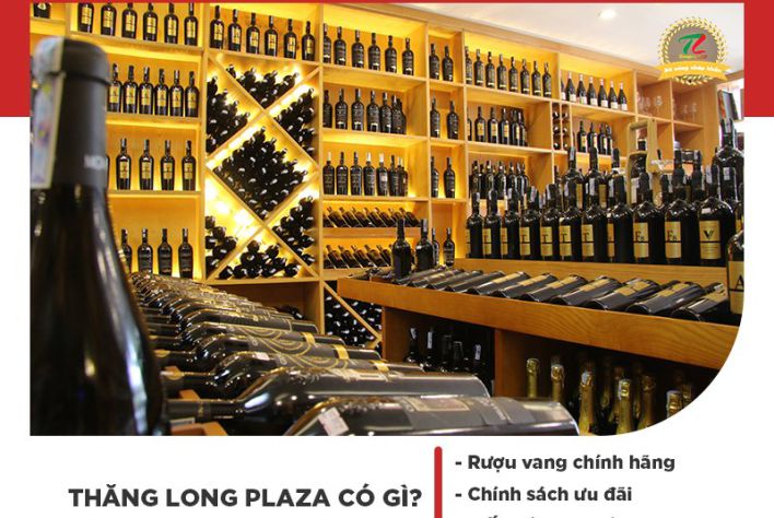 Thăng Long Plaza - Nhà phân phối vang Ý chính hãng, giá tốt tại Hà Nội