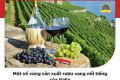 Những vùng sản xuất rượu vang nổi bật tại Ý