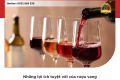Khám phá những tác dụng đặc biệt của rượu vang đối với sức khỏe