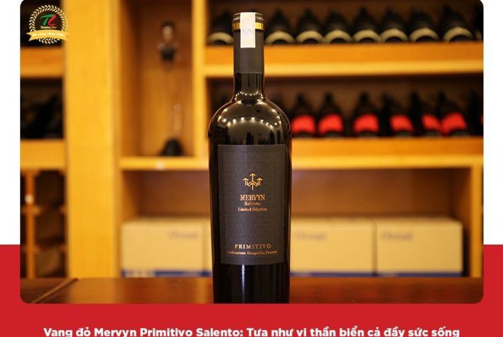 Vang đỏ Mervyn Primitivo Salento: Mạnh mẽ, sâu sắc và tràn đầy sức sống