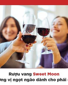 Vang đỏ Ý Sweet Moon Rosso Dolce - Hương vị ngọt ngào dành cho phái đẹp